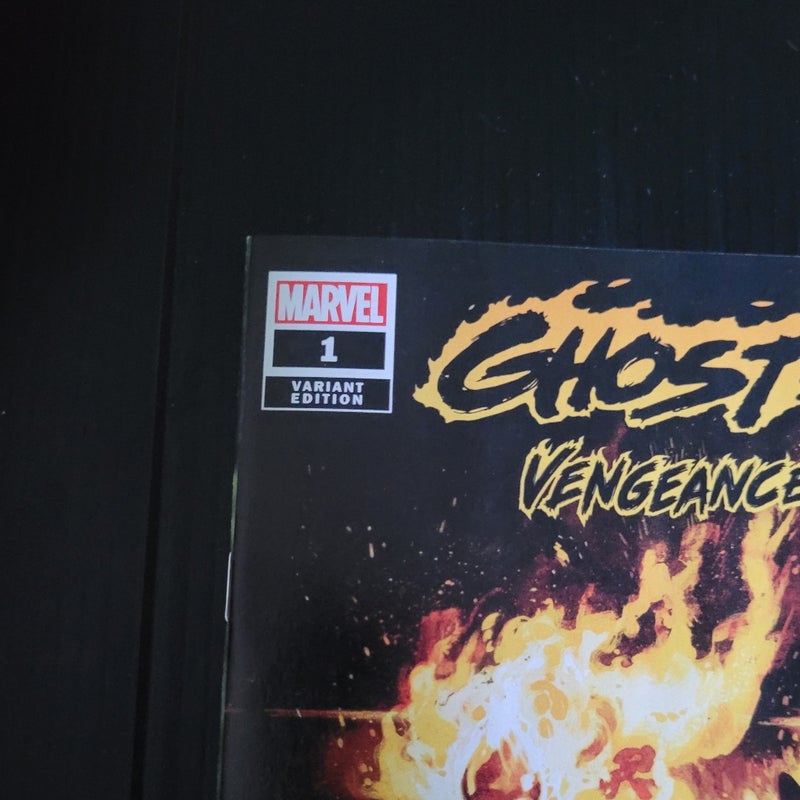 Ghost Rider: Vengeance Forever #1