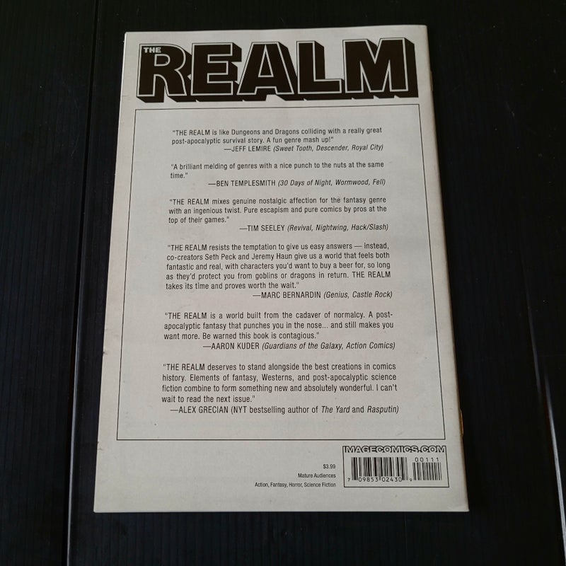 Realm #1