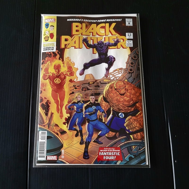 Black Panther #13