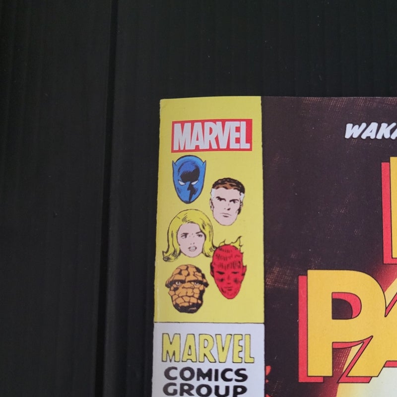 Black Panther #13