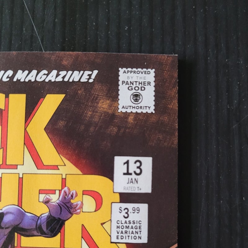 Black Panther #13