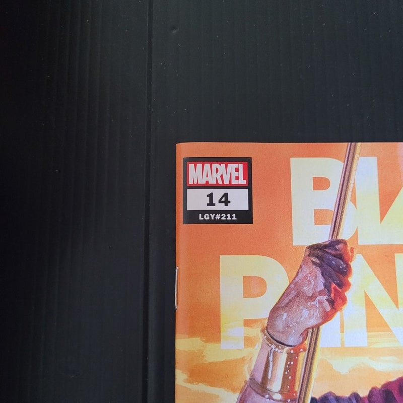 Black Panther #14