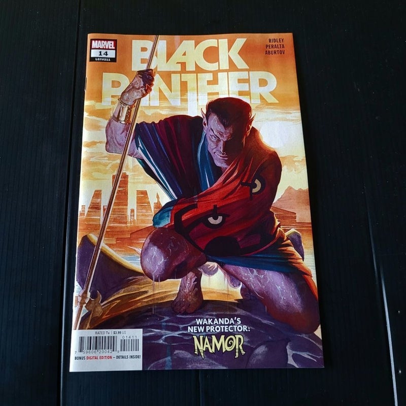 Black Panther #14