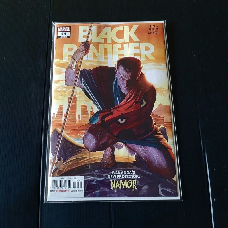 Black Panther #14