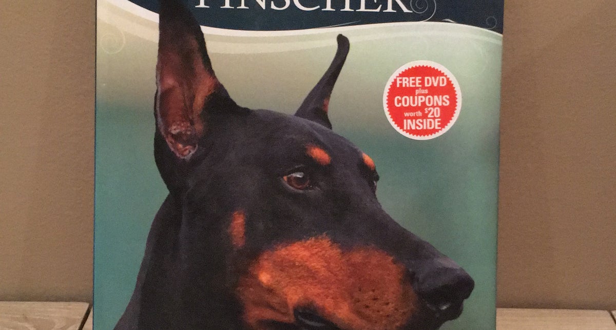 Starlight doberman hot sale