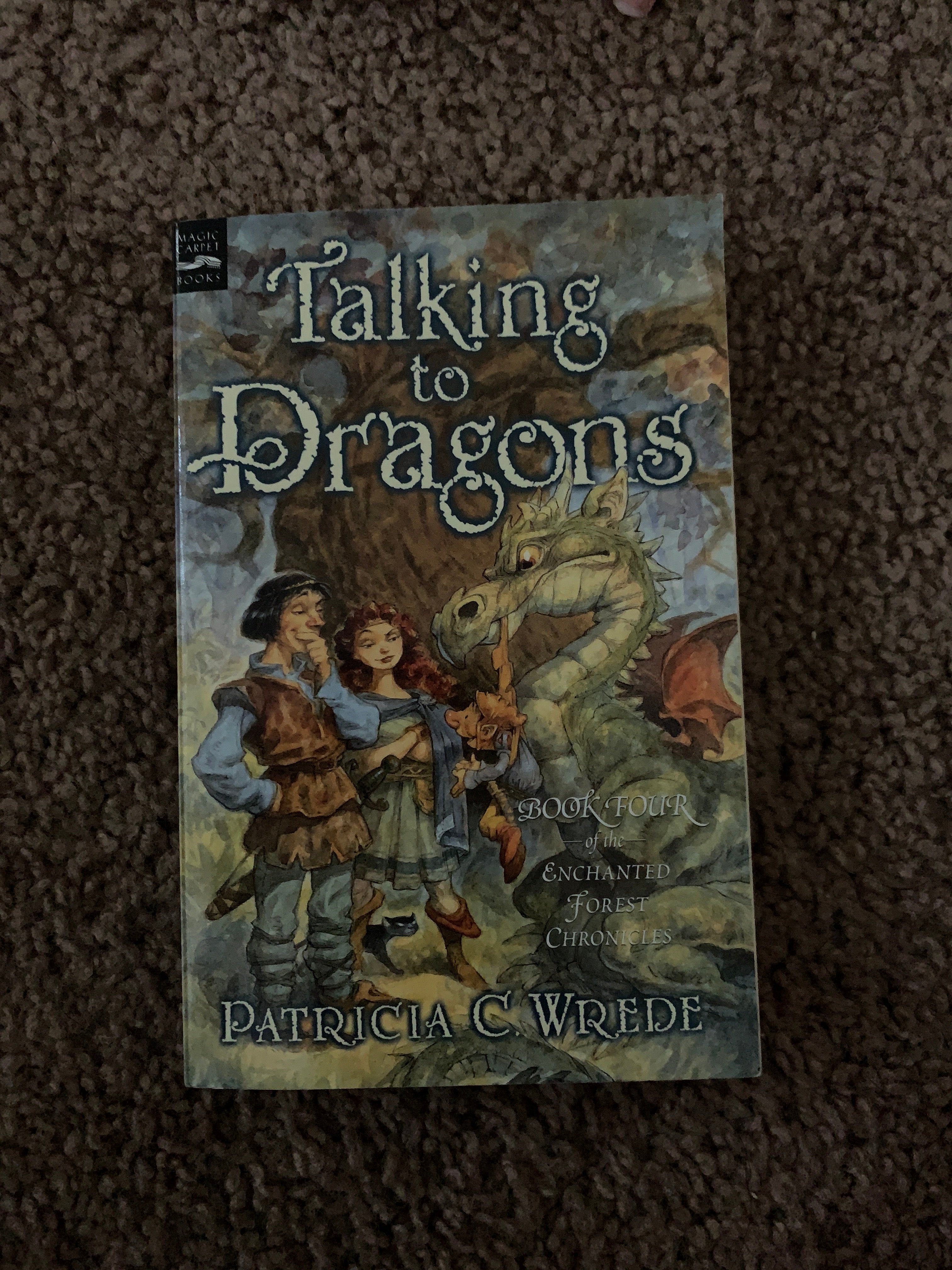 Talking to Dragons