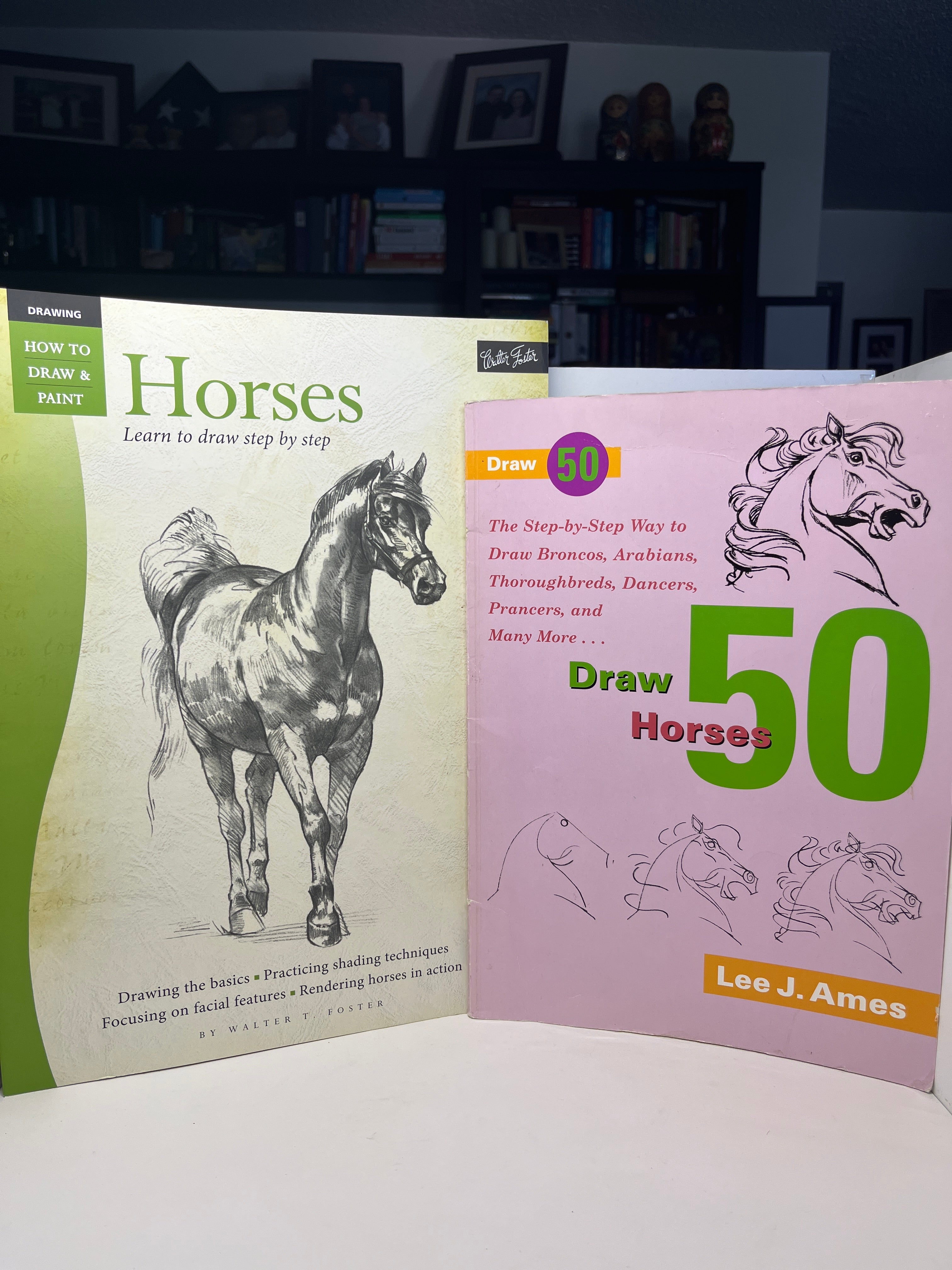 Draw 50 Horses