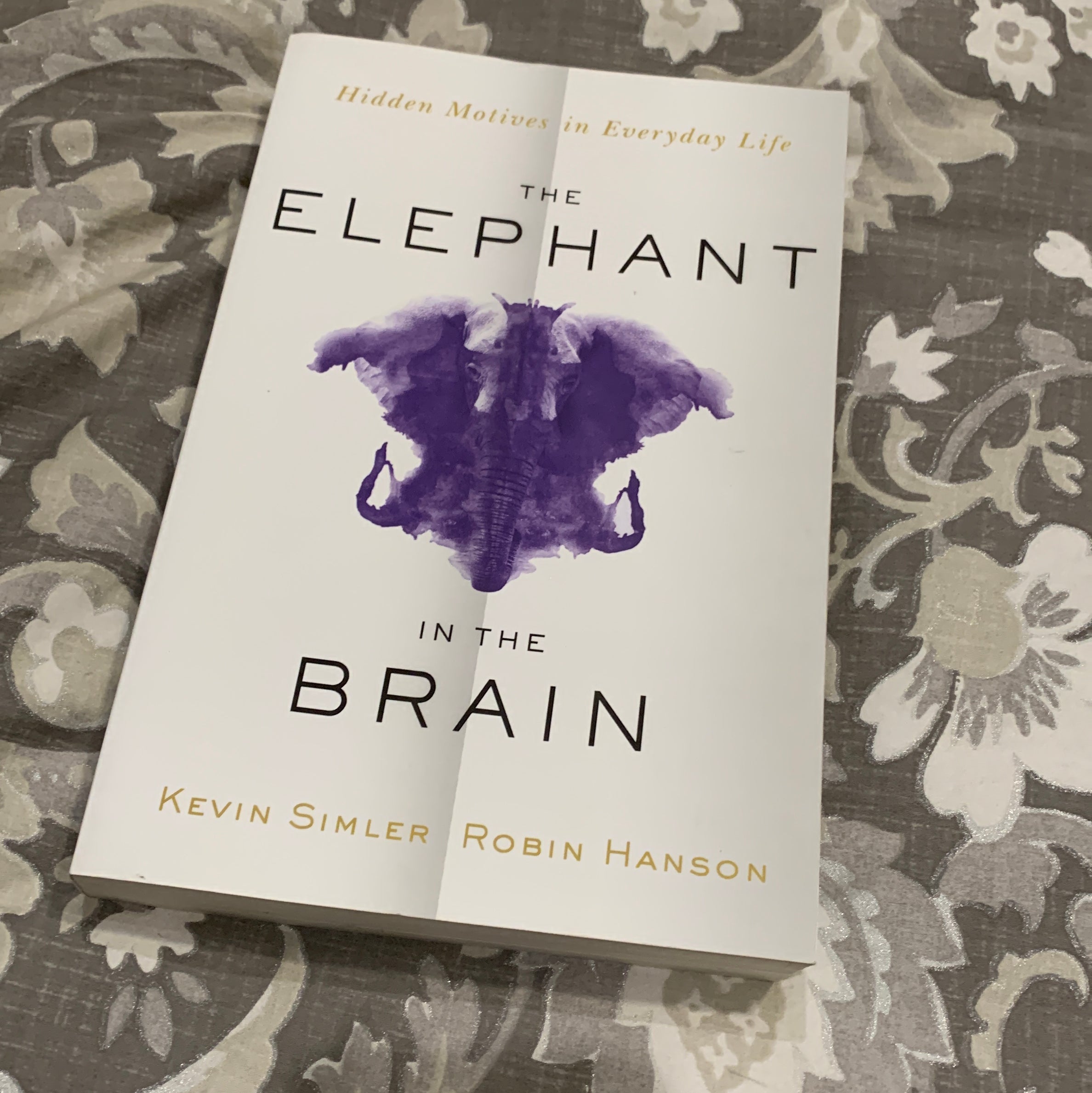 The Elephant in the Brain