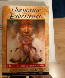 Shamanic Experience