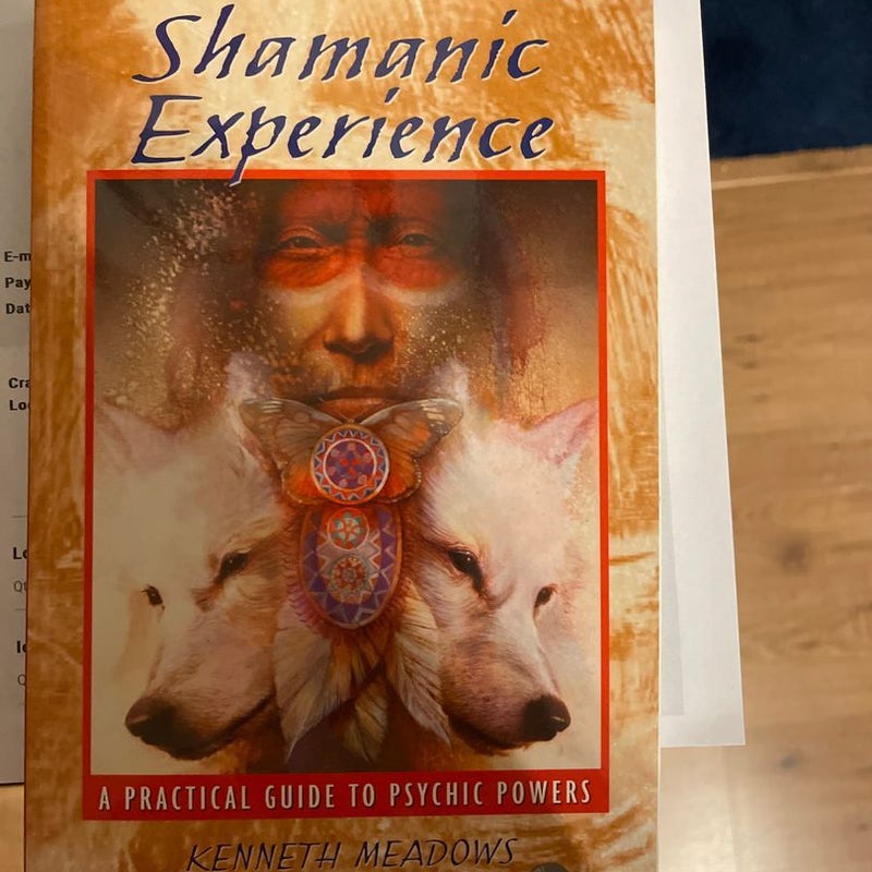 Shamanic Experience