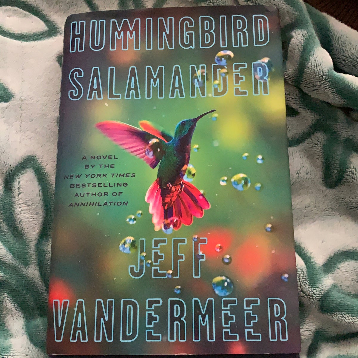 Hummingbird Salamander
