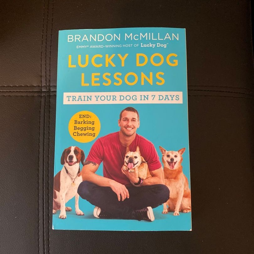 Brandon mcmillan hot sale lucky dog lessons