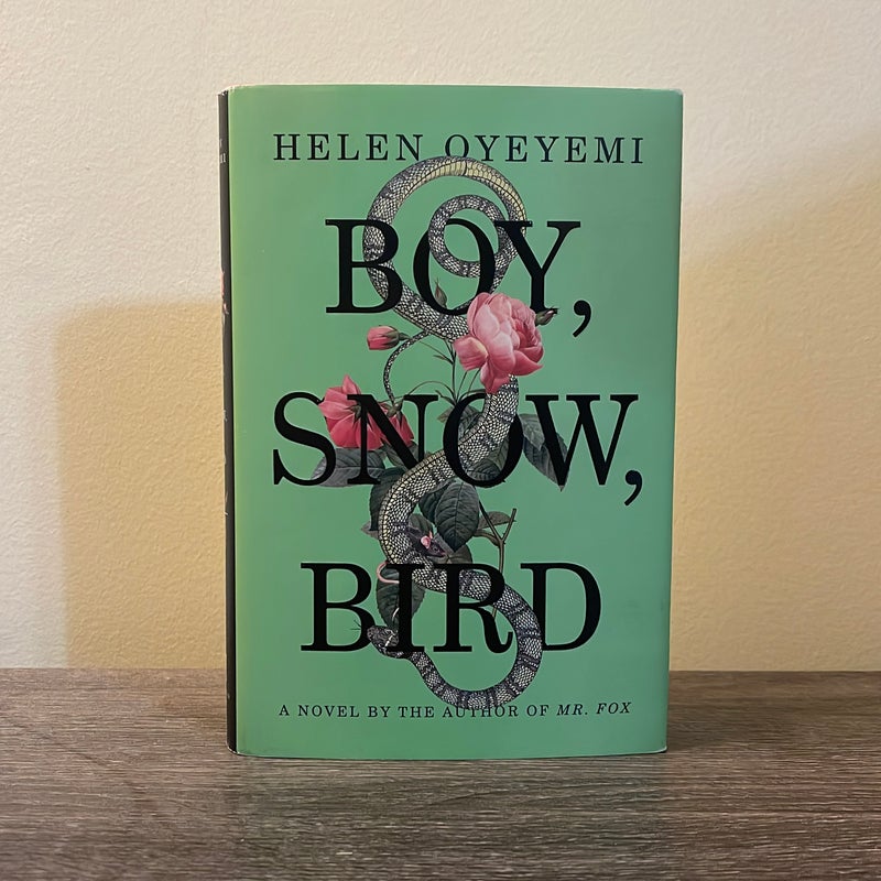 Boy, Snow, Bird