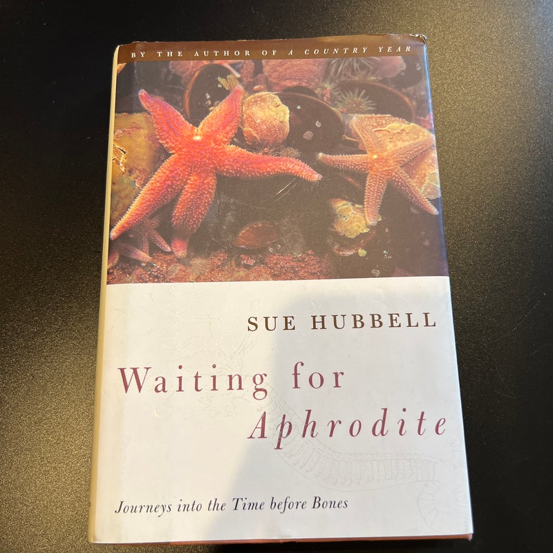 Waiting for Aphrodite