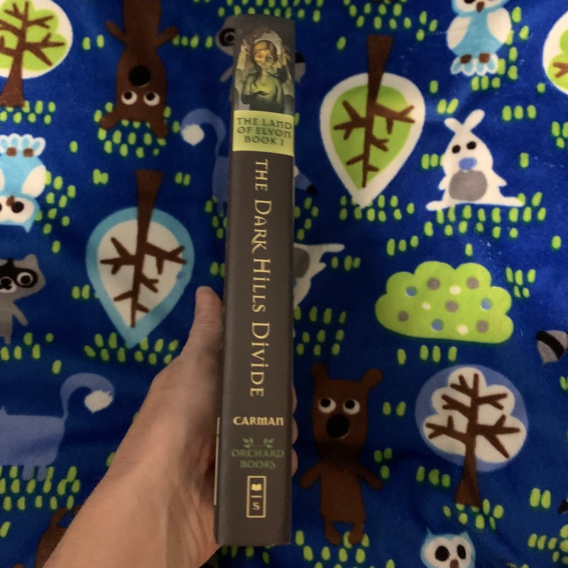The Dark Hills Divide