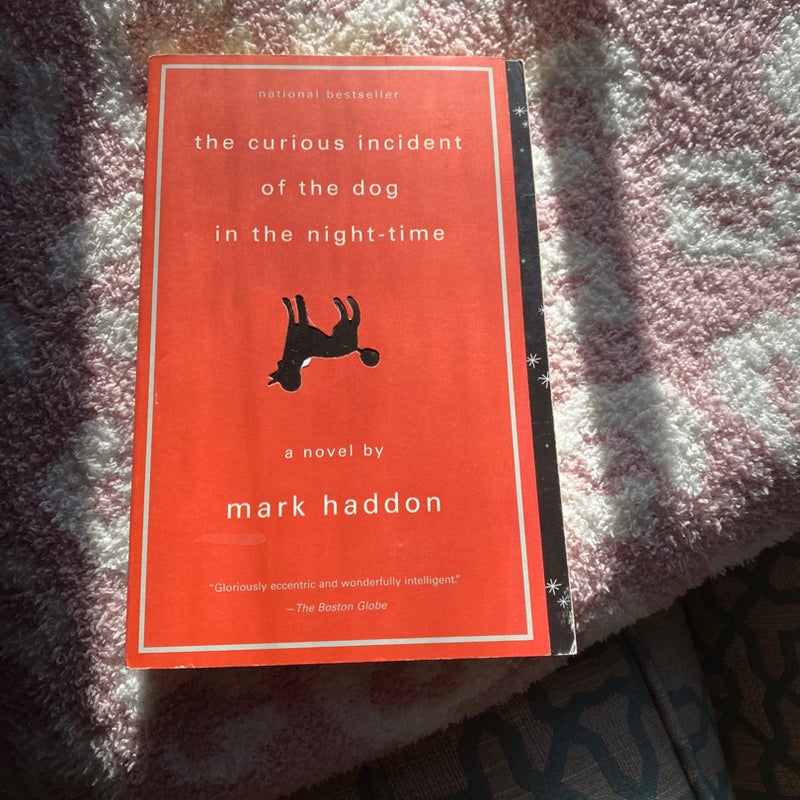 The Curious Incident of the Dog in the Night-Time