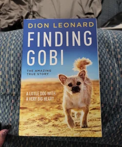 Finding Gobi