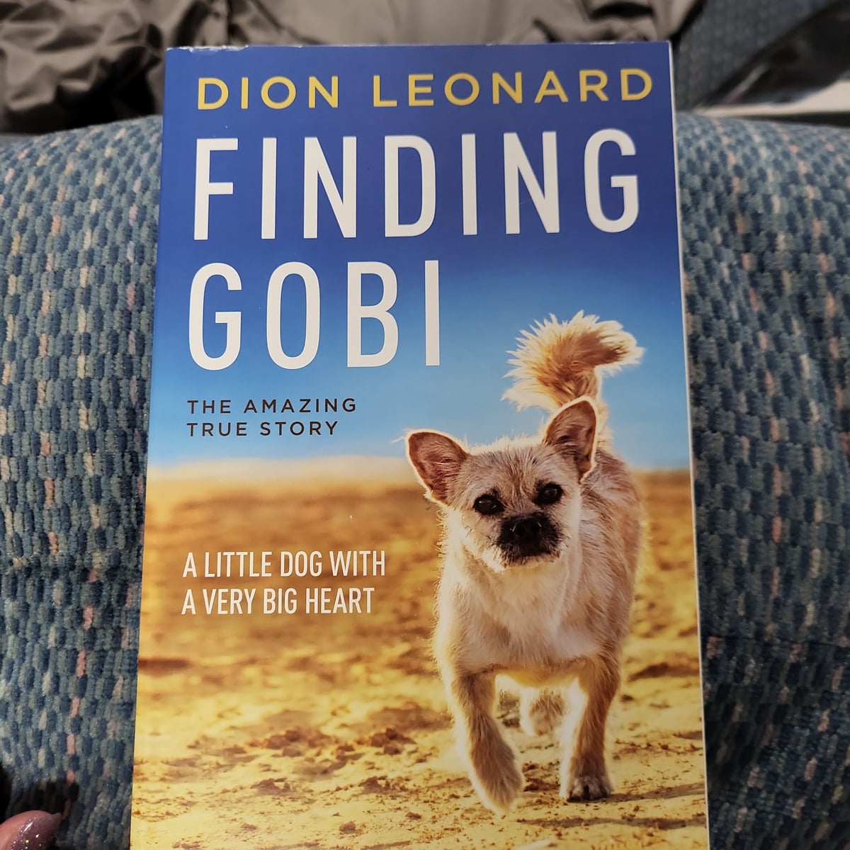 Finding Gobi by Dion Leonard
