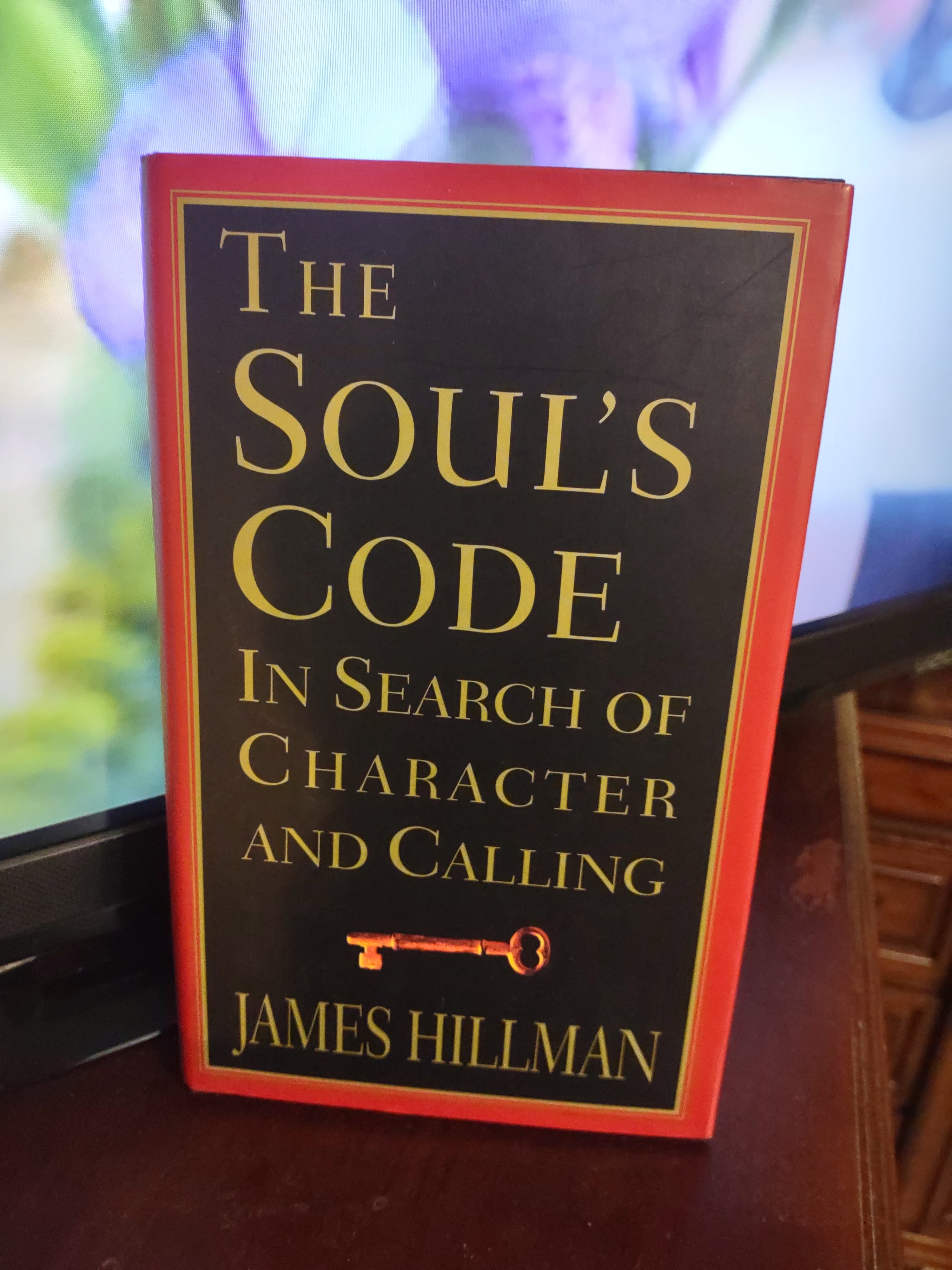 The Soul's Code