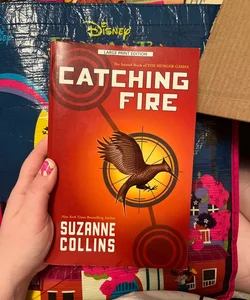 Catching Fire (LARGE PRINT EDITION)