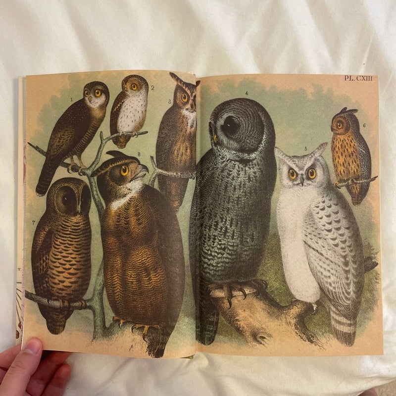The Bedside Book of Birds
