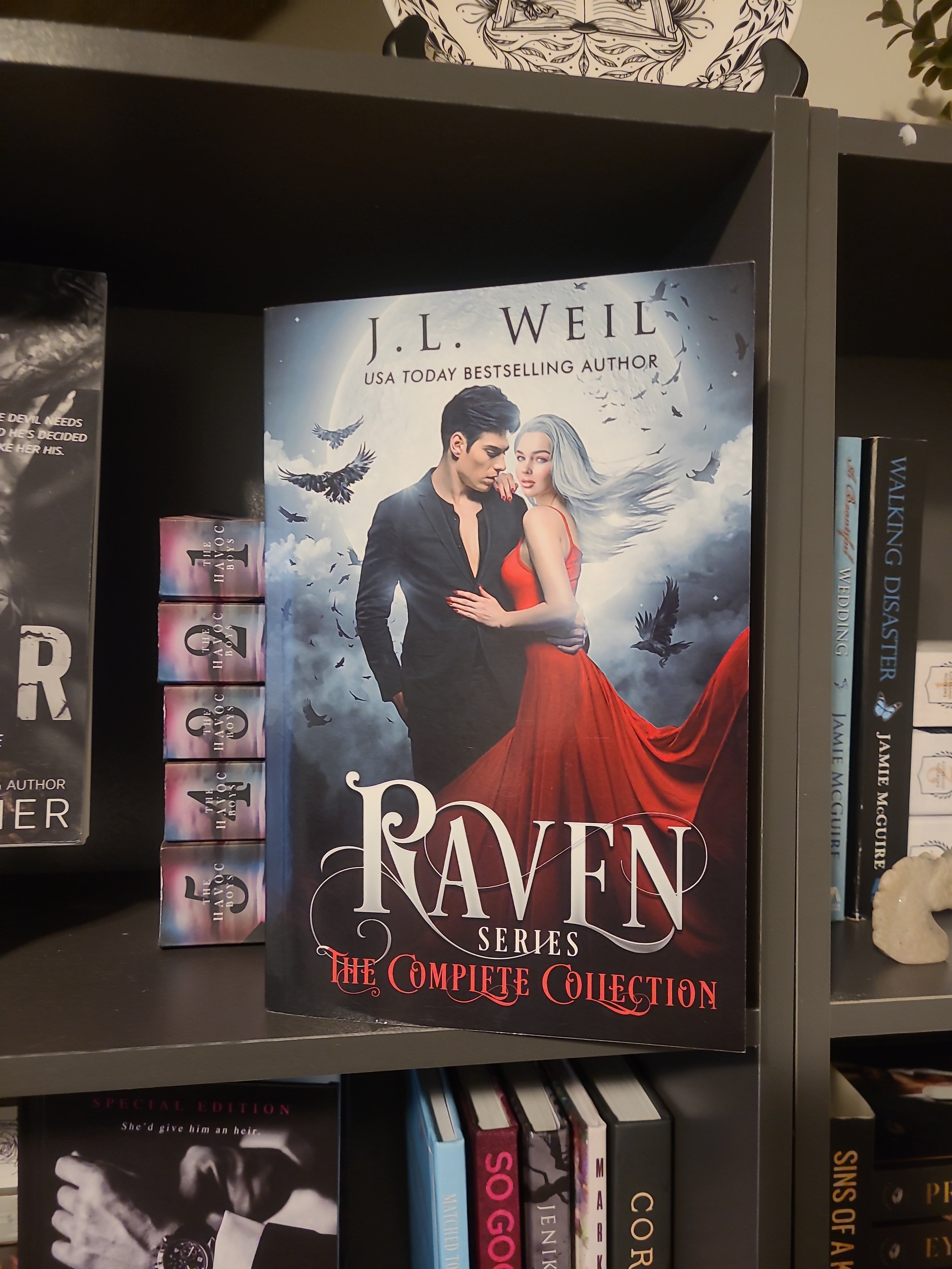Raven Series: the Complete Collection