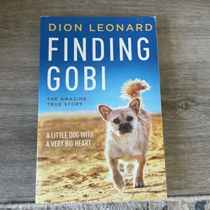 Finding Gobi