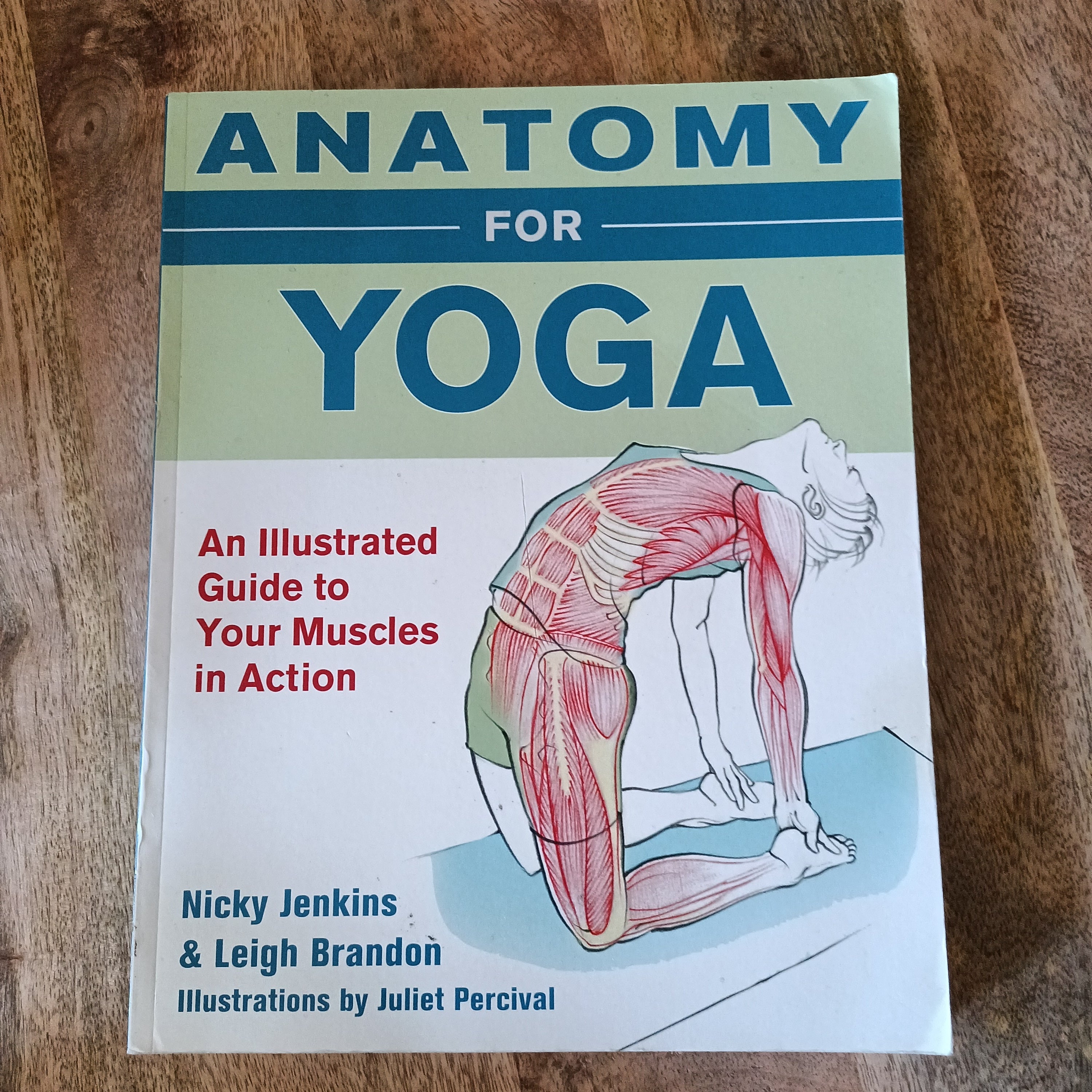 Anatomy for Yoga