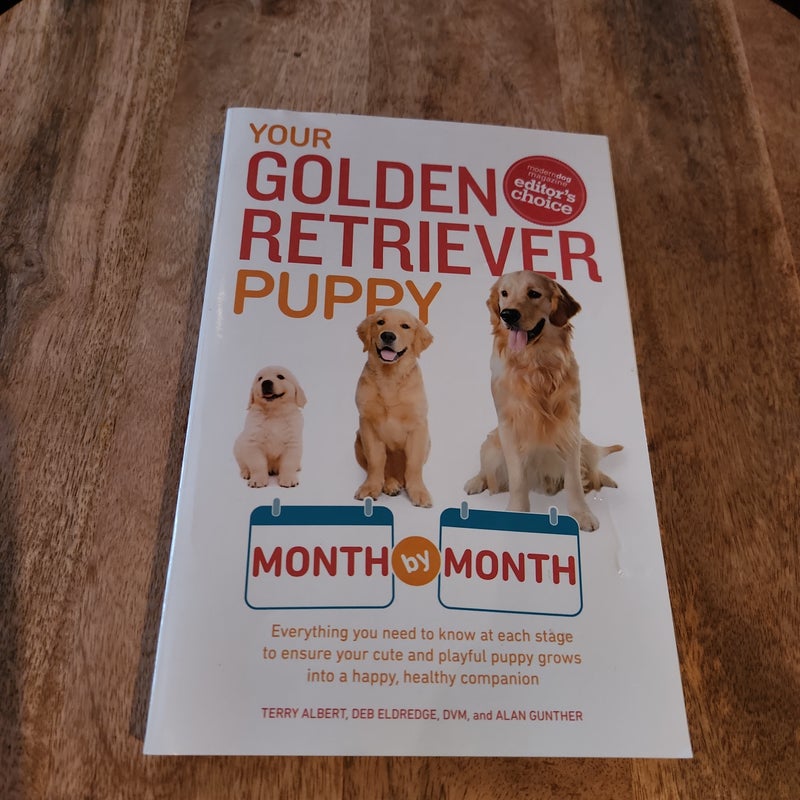 Your golden retriever puppy month hot sale by month