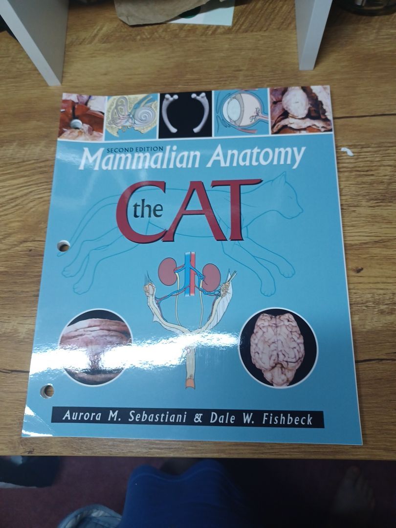 Mammalian Anatomy