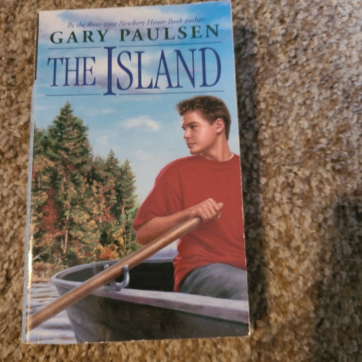 the island book review guardian