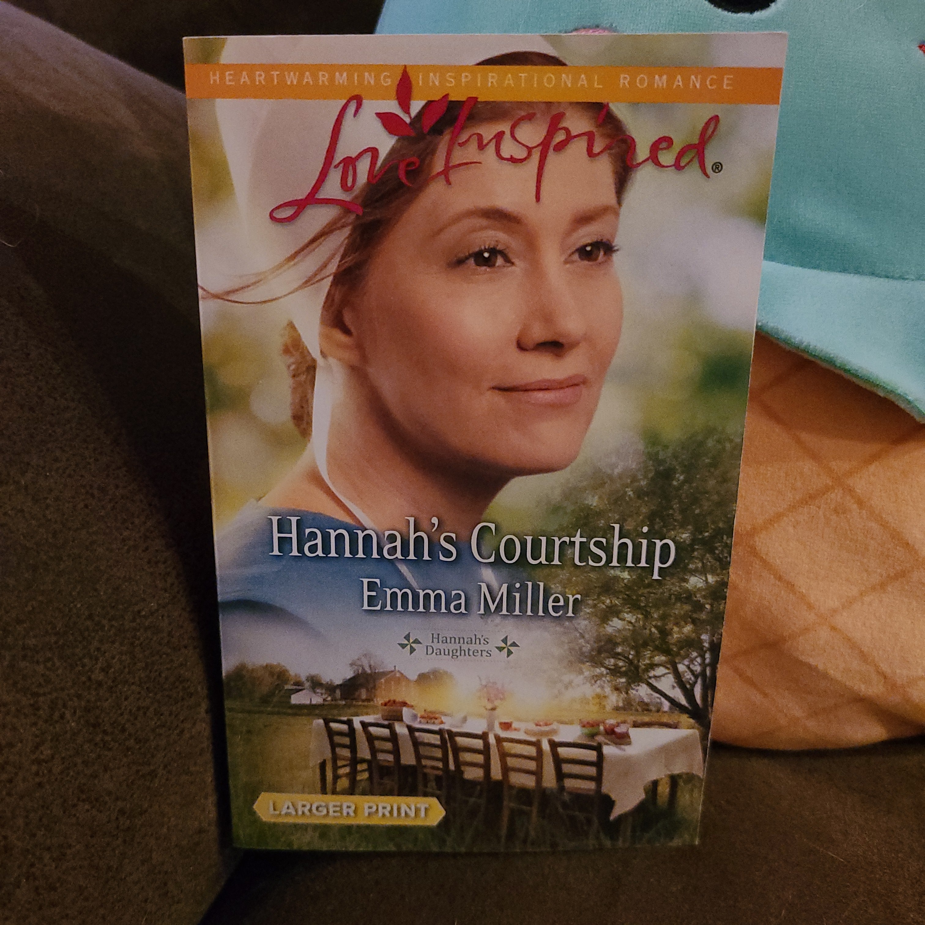 Hannah's Courtship