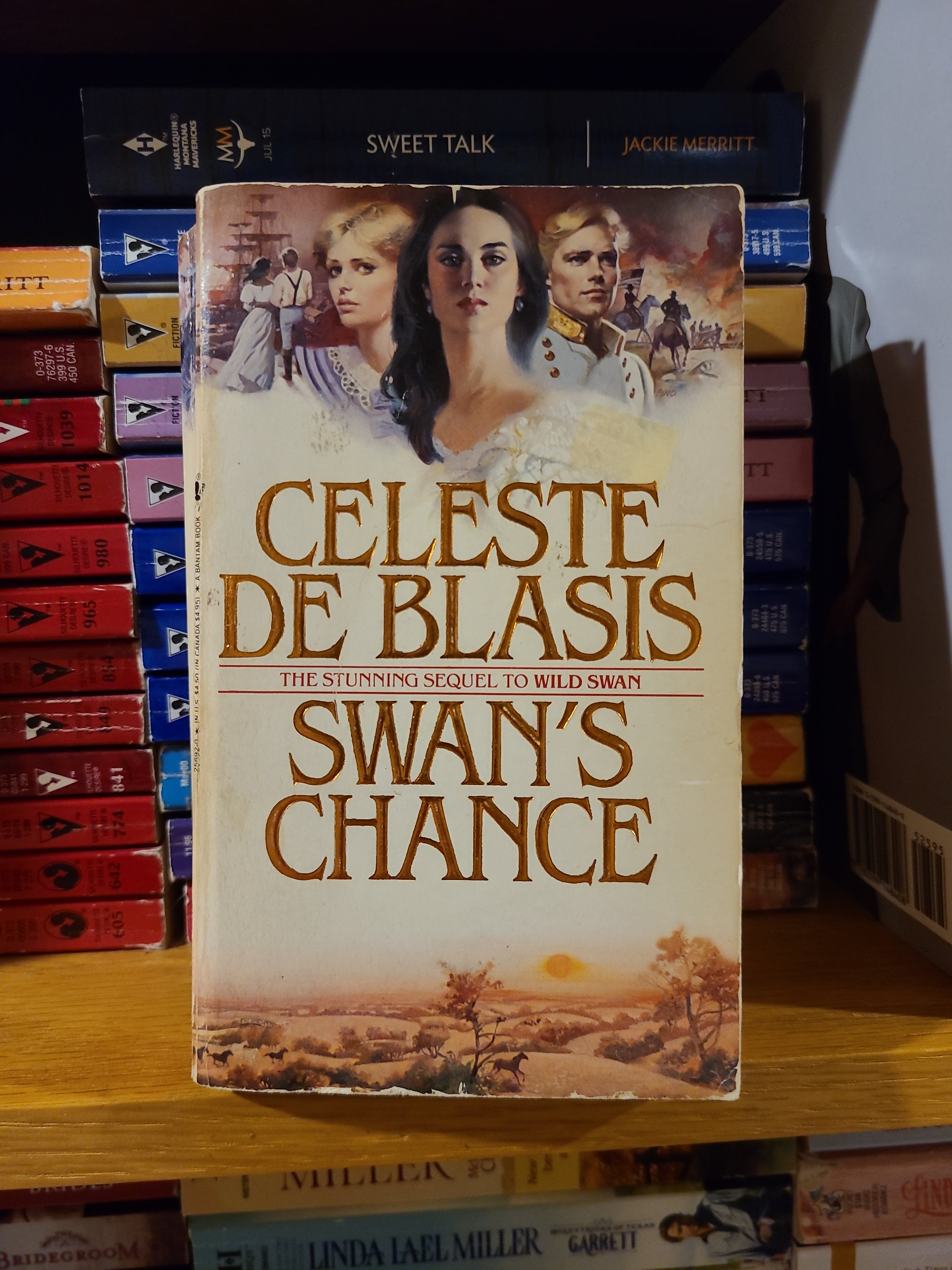 Swan's Chance