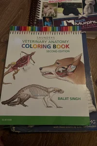 Veterinary Anatomy Coloring Book- one page colored 