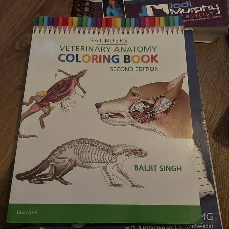 Veterinary Anatomy Coloring Book- one page colored 