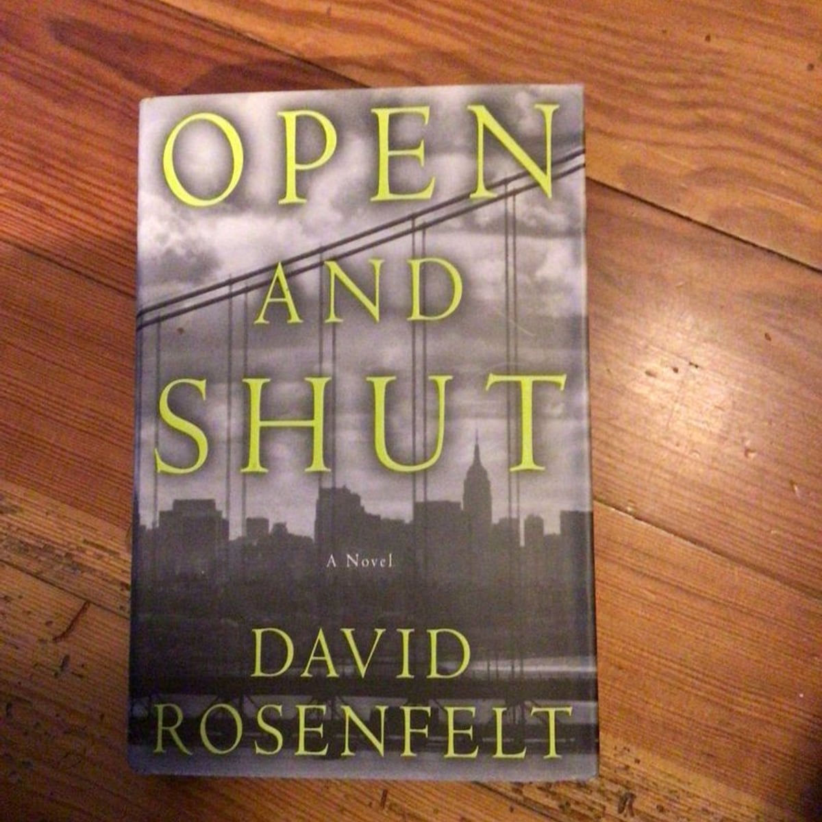 Open and Shut by David Rosenfelt
