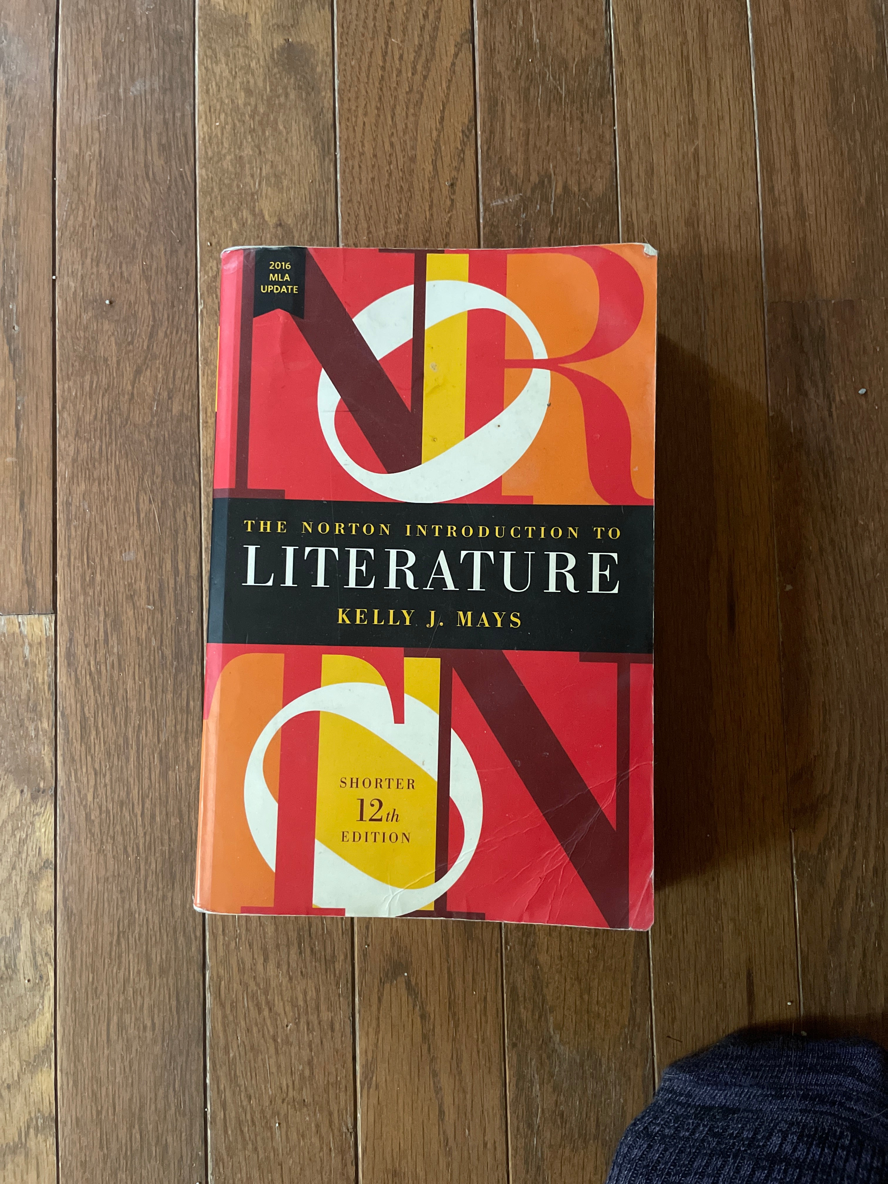 The Norton Introduction to Literature