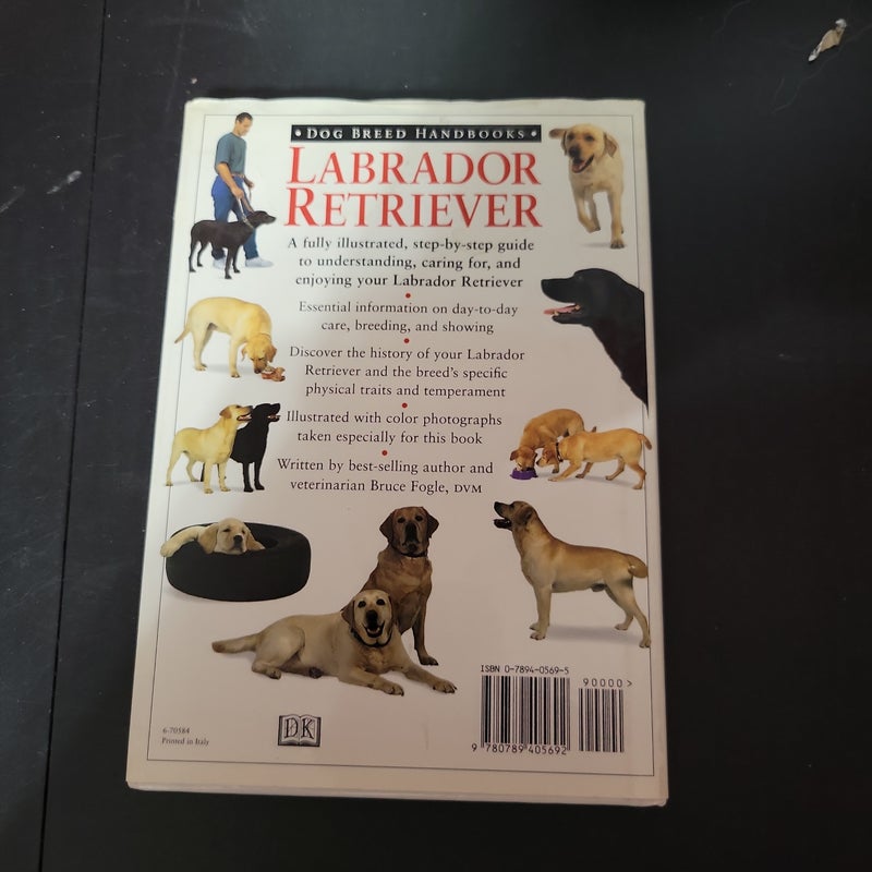 Labrador Retriever ⚠️