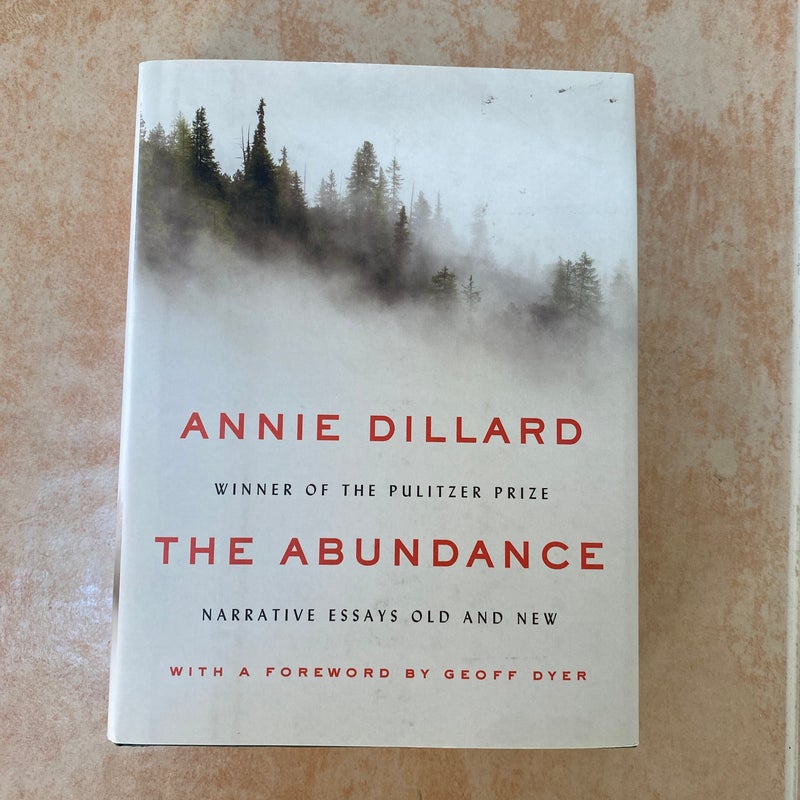 The Abundance
