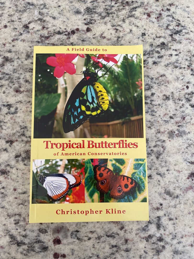 A Field Guide to Tropical Butterflies of American Conservatories