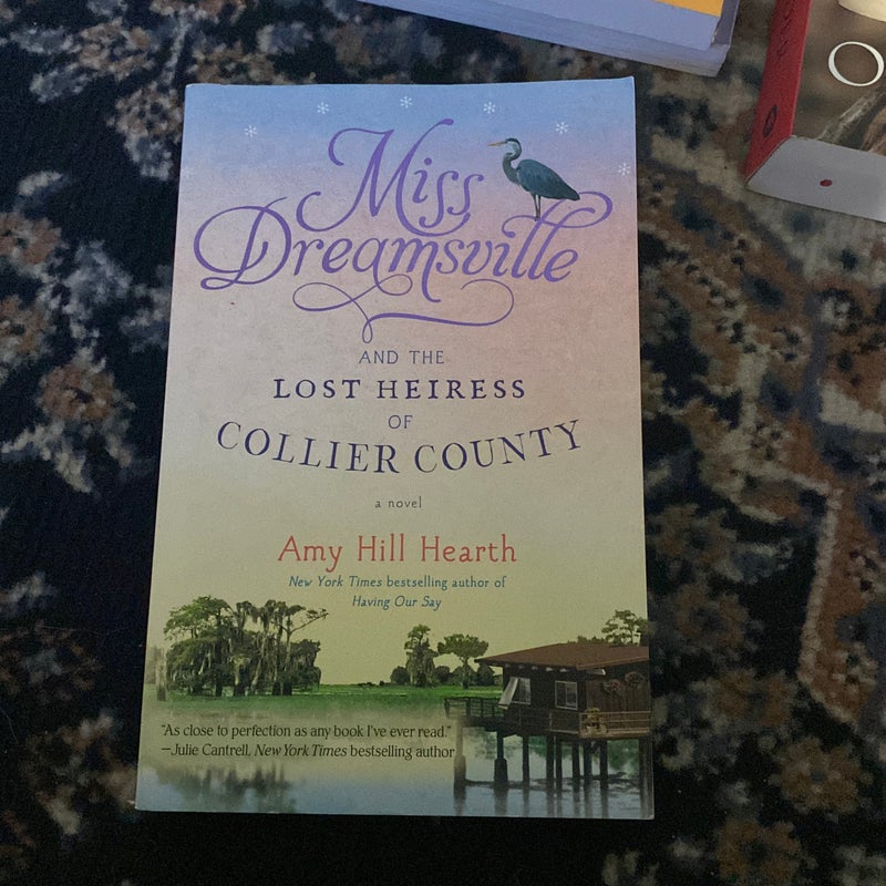 Miss Dreamsville and the Lost Heiress of Collier County