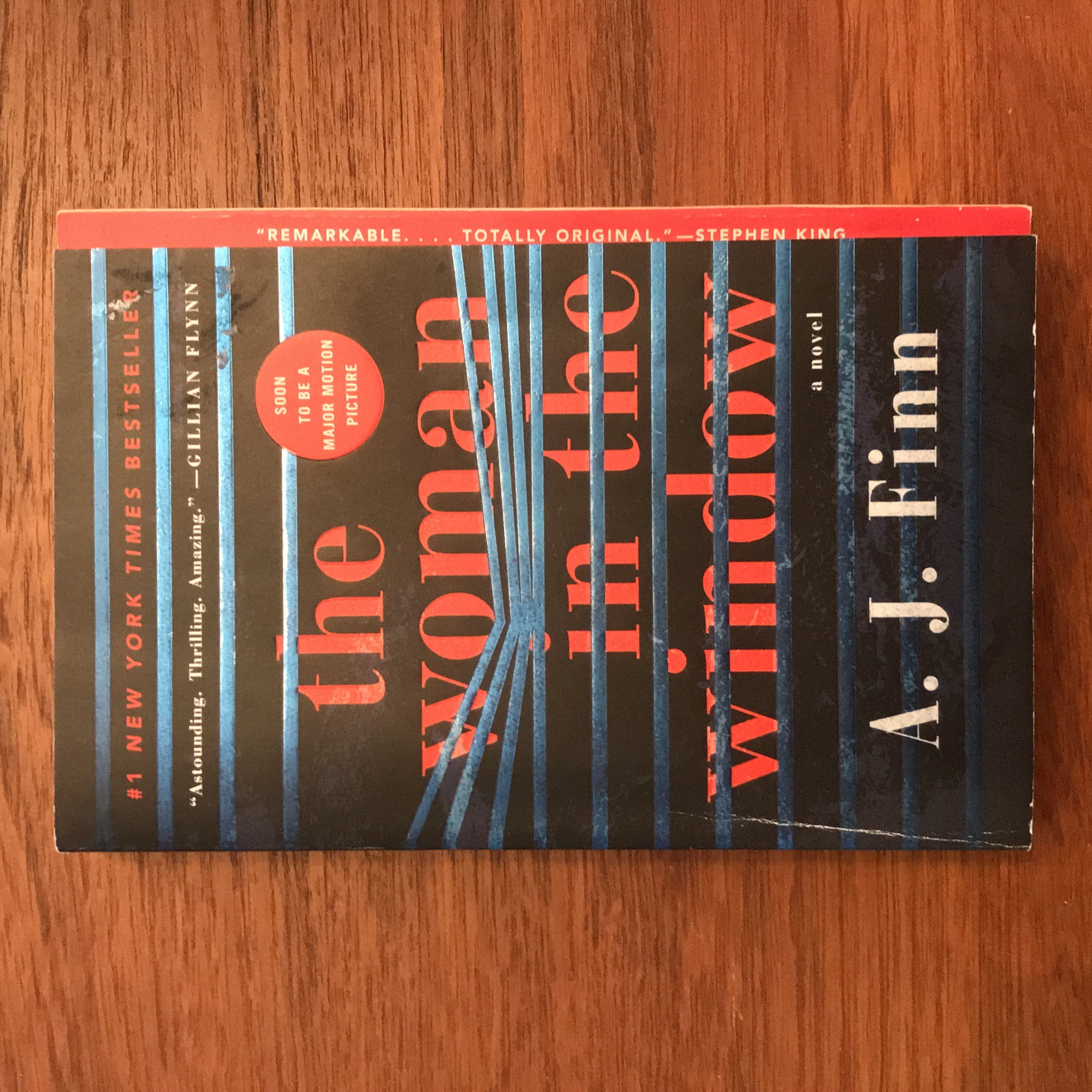 The Woman in the Window