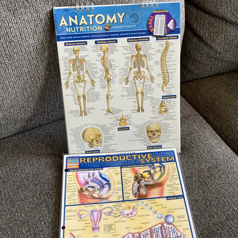 Anatomy and Nutrition for Body and Health Easel Book