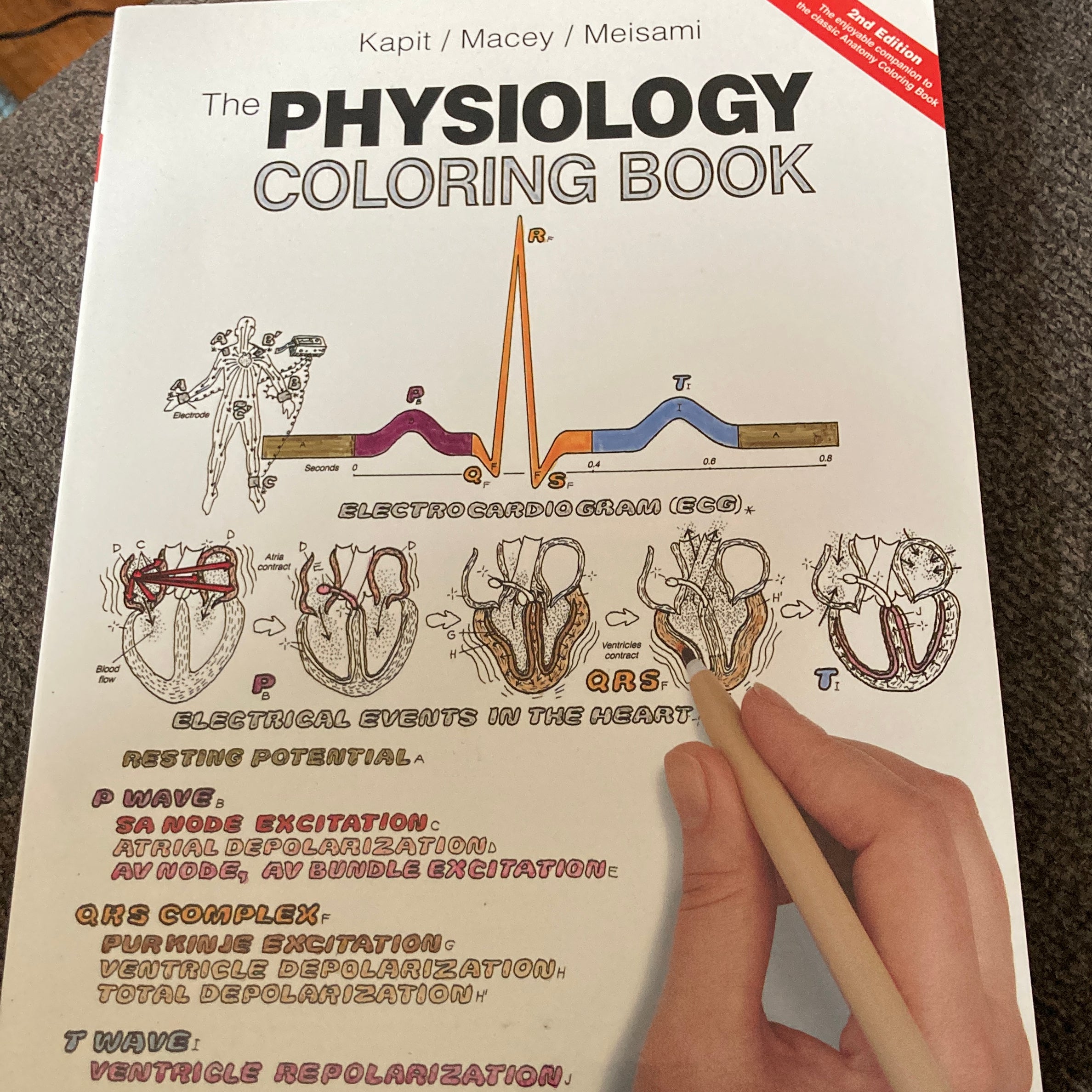 The Physiology Coloring Book