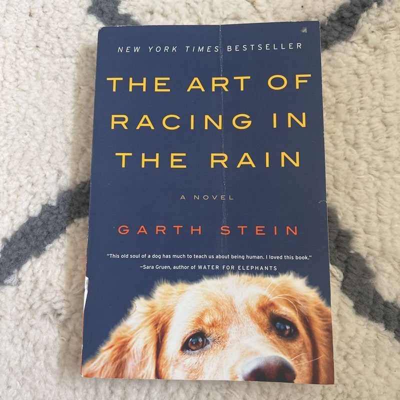 The Art of Racing in the Rain