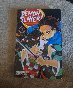 Demon slayer vol. 1