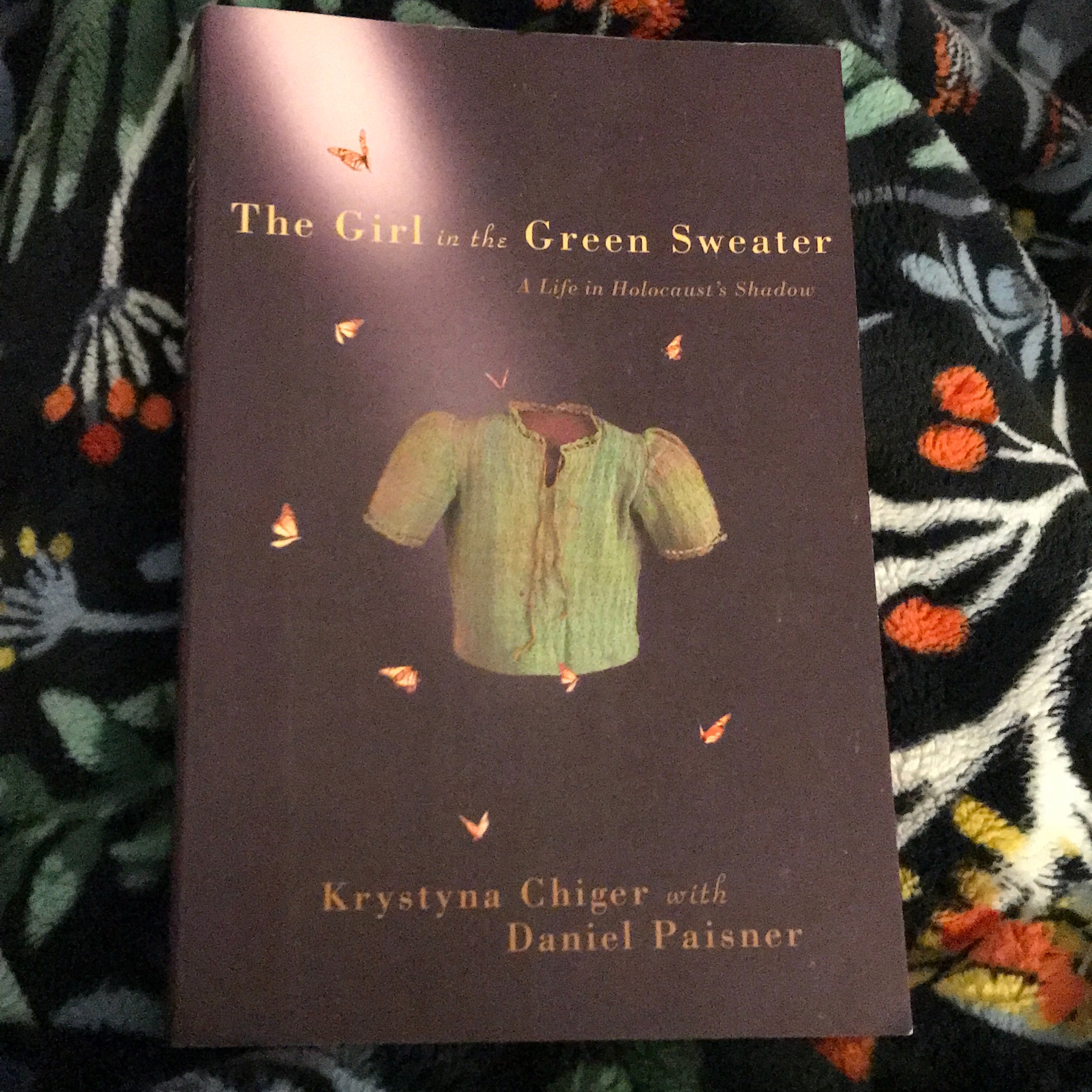 The Girl in the Green Sweater