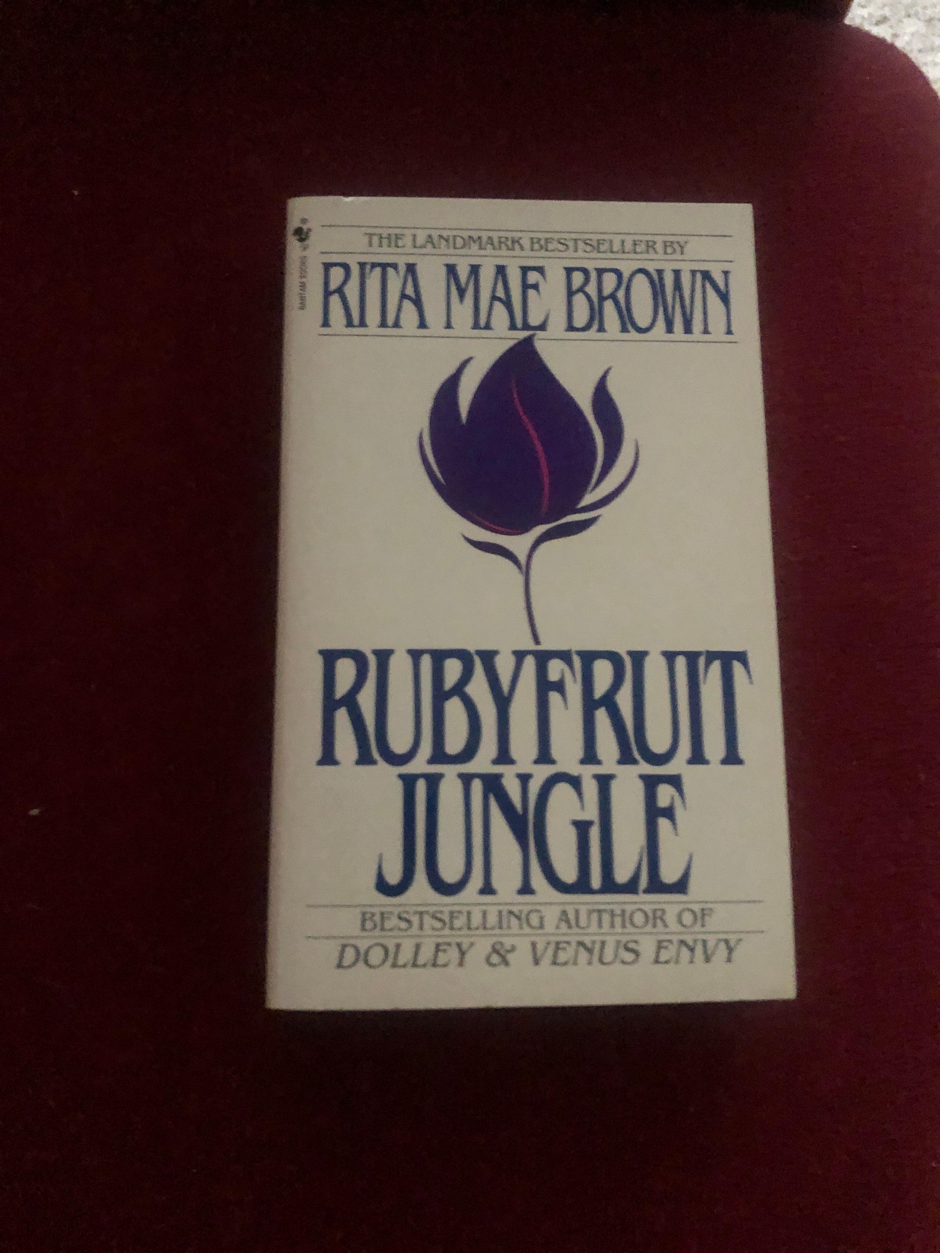 Rubyfruit Jungle