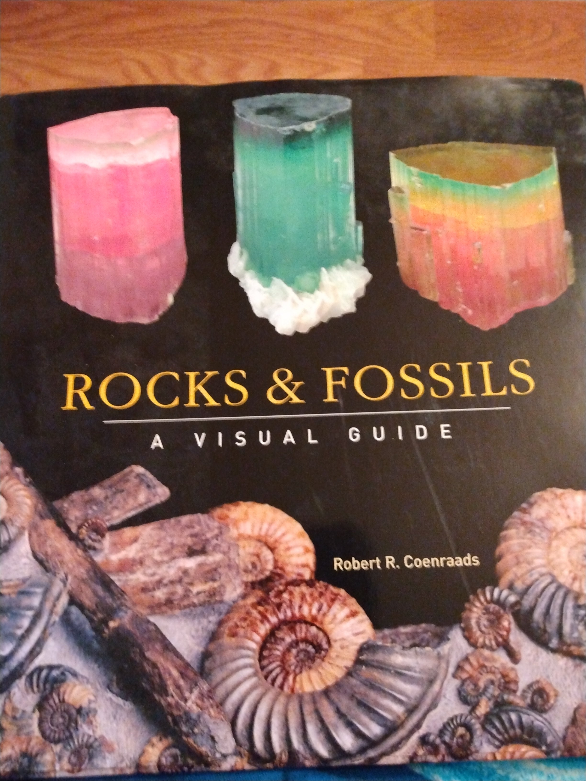 Rocks and Fossils