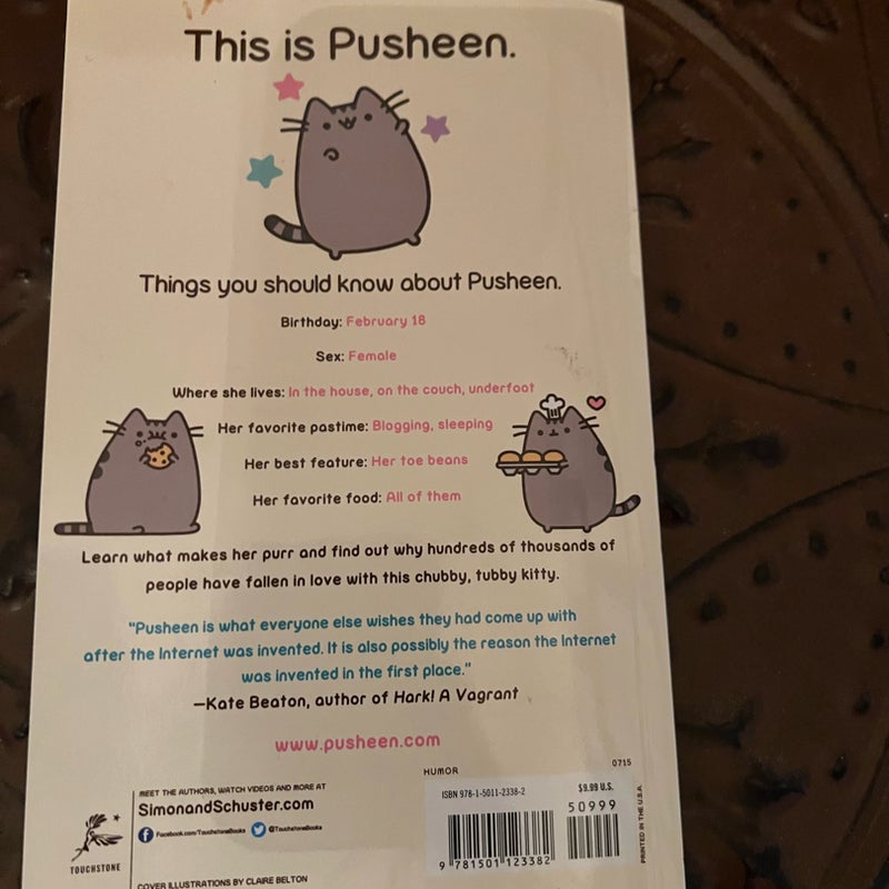 I am Pusheen the cat